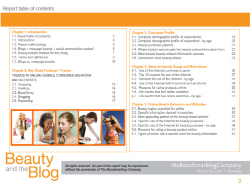 Beauty and the Blog (2007) - Image 3