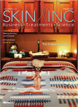 SkinIncFeb2015snip